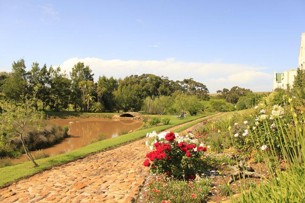 Peace Valley Guesthouse Napier Esterno foto